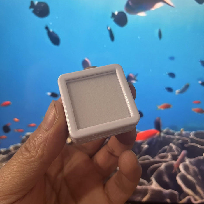 Gem Boxes Tray For Fitting Gem Box-JPM0139 - Jewelry Packaging Mall