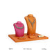 Hermes Display Collection-JPM0802 - Jewelry Packaging Mall