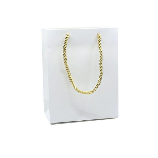 Monotone Simplistic Shopping Bag (10 pcs Per Pack) - Jewelry Packaging Mall