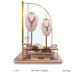 Panama Display Collection - Jewelry Packaging Mall