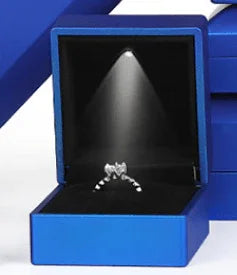 Bonham Collection - LED Box JPM0197 - Jewelry Packaging Mall