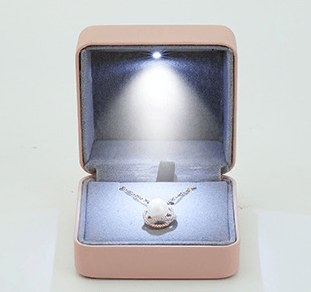 Bowring Collection - LED Box - Jewelry Packaging Mall