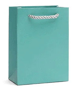 Economy Fancy Paper Shopping Bags (50 pcs Per Pack) - Jewelry Packaging Mall