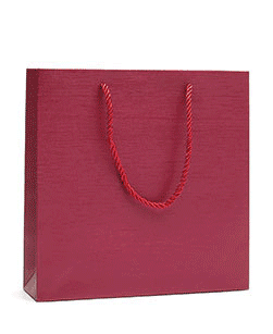 Fancy Paper Shopping Bag - Jewelry Packaging Mall