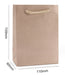 Economy Fancy Paper Shopping Bags (50 pcs Per Pack) - Jewelry Packaging Mall