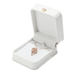 Lugard Box Collection-JPM0227 - Jewelry Packaging Mall