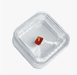 Round Corner Transparent Acrylic Gem Box(10PCS)-JPM0151 - Jewelry Packaging Mall